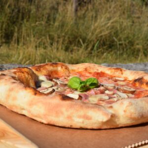 8f774050-41f4-4624-8e13-2fda4ed74b4d